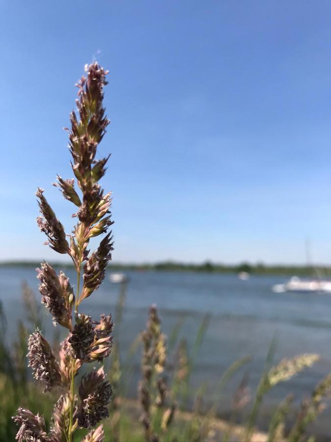 B&B Zaligheid Zwaluwe Kültér fotó