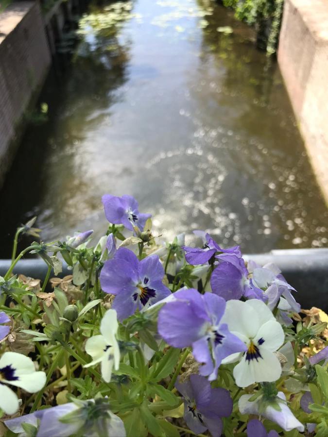 B&B Zaligheid Zwaluwe Kültér fotó
